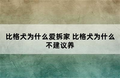 比格犬为什么爱拆家 比格犬为什么不建议养